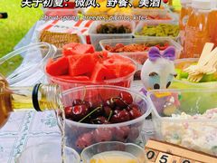 -上海滨江森林公园