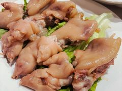 -丁老爷子苏香圆