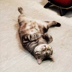 -幸运7纹身刺青Lucky7tattoo