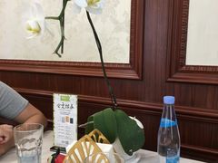 -南山鲜虾面·活鲜小馆·海味大连菜(南山总店)