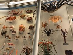 -日本科学未来馆