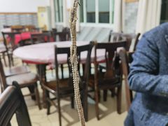 -盘龙黄鳝(盘龙居店)