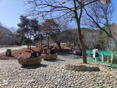 -北京西山国家森林公园