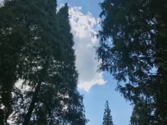 -宝岩生态观光园