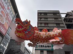-越秀西湖花市(广州城市广场花卉店)