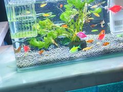 -黄兴南路步行商业街