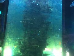 -青岛嘉年华主题乐园