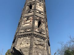 -上海佘山国家森林公园天马山园