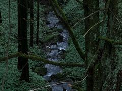-山王坪喀斯特国家生态公园