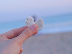 -白沙湾海滩