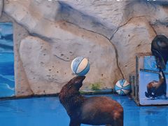 -泉州海丝野生动物世界