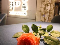 -羲和雅苑•北京烤鸭(国贸商城店)