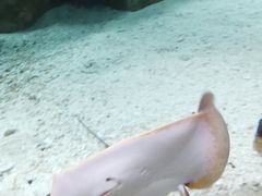 -珠海长隆海洋王国
