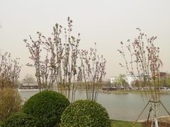 景点-西海子公园