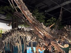 -国家自然博物馆