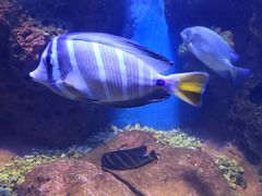 -多彩贵州城极地海洋世界