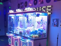 -唱吧麦颂KTV(马驹桥店)
