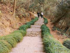 -杭州半山国家森林公园