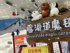 -湘江欢乐城欢乐雪域