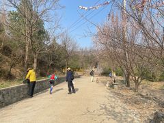 -阳台山自然风景区