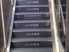 -龙塔