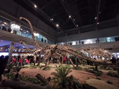 -自贡恐龙博物馆