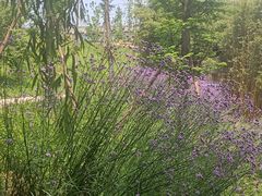 -白鹭湾湿地公园