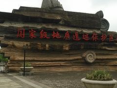-金钉子远古世界景区