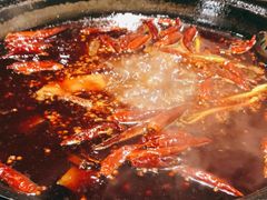 -胖碗火锅(观音桥店)