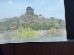 -七欣天香辣蟹火锅(南京建宁路大观天地店)