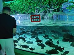 -福州罗源湾海洋世界旅游区