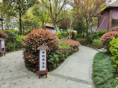 -余姚阳明温泉山庄
