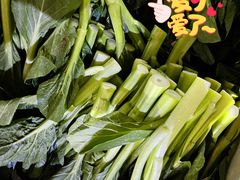 -三亚新鸿港水果一级批发市场