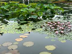 -国家植物园南园