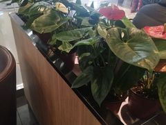 -COSTA COFFEE(水游城店)