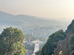 -庐山风景名胜区-东林大佛
