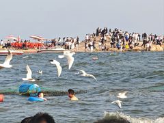 -老虎石海上公园