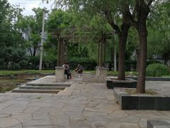 -首都医科大学附属北京地坛医院