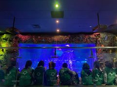 -沈阳海洋探索中心