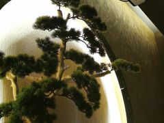 -大桶大足浴(陈春路店（3公里左右免费接送）)