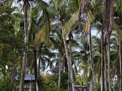 -白沙门生态公园