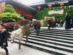 -藏龙百瀑风景区