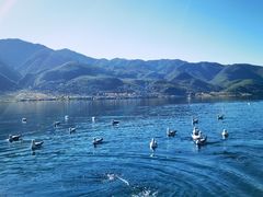 -丽江泸沽湖景区