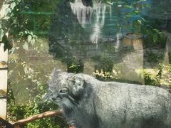 -青藏高原野生动物园