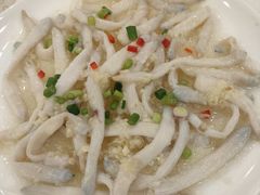 -寻味顺德·南记酒家·传统顺德菜·鱼生(广源路店)
