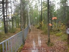 -峡谷浮石林景区