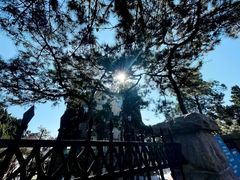 -八大关景区
