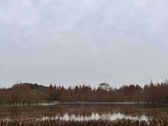 -白鹭湾湿地公园