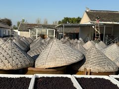 -苏州市吴中区光福窑上花果蜜饯厂