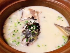 天目湖鱼头-海江5号